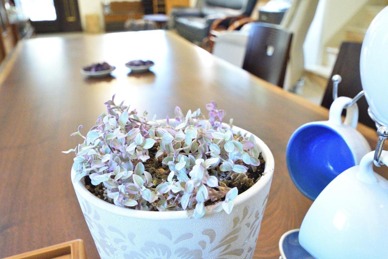 Serenity Moutainview Homestay Mei-nung 외부 사진